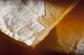 Explorative natural dyeing workshop in the swamp