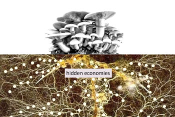 Invitation to talk and discussion about hidden economies