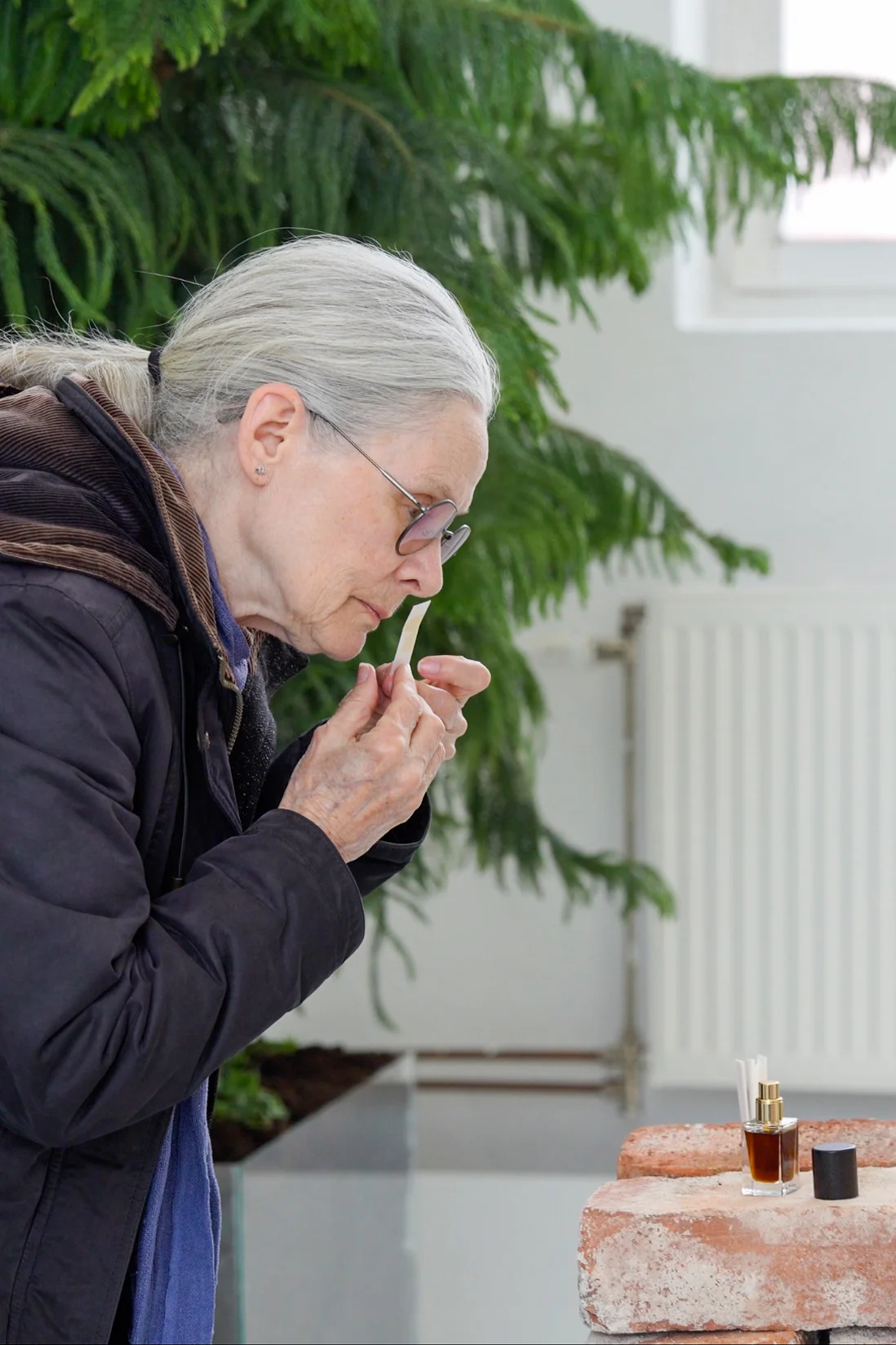 Finissage for Sinnenas tid (The Time of the Senses)